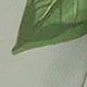 متعدد الألوان