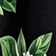 الأسود