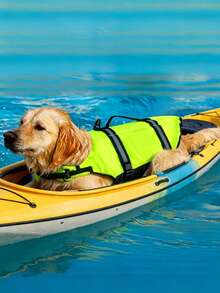 Dog Life Jacket, Adjustable Dog Swimsuit, Shark Style High Buoyancy With Rescue Handle, Suitable For Small, Medium And Large Dogs Swimming And Rowing - Green - View 2