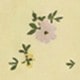 彩色
