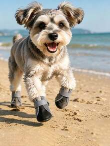 Scarpe estive per cuccioli, scarpe per animali domestici, scarpe in rete per cani per tutte le stagioni, forniture per gatti e cani, scarpe per cani di piccola taglia, stile traspirante e confortevole - nero - Visualizzare 10