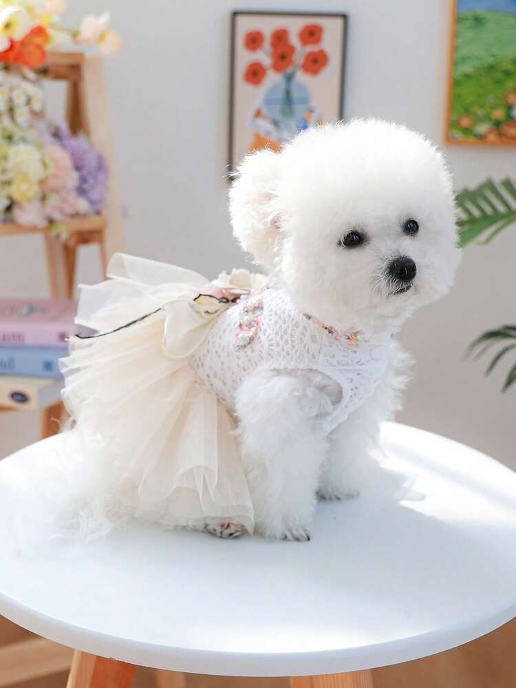 PETSIN 1件寵物復古小香裙，貓狗通用衣服，非常適合聚會、外出和野餐 - 彩色 - 查看 11