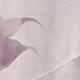 彩色