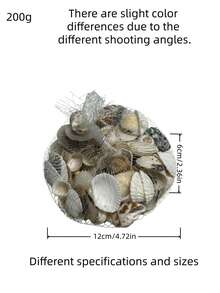 Random 100g Shell, Conch, Aquarium & Fish Tank Decoration, Photo Props, Scallop, Mesh Bag Mixed-Pack (Approximately 30pcs) Decor Valentine's Day, Valentines Wedding, Birthday, Bathroom Decor, Room Decor, Home Decor Living Room, Office Decor Items , Room Decoration Stuff,Fall Decor - Multicolor - View 2