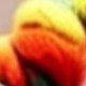 Multicolor