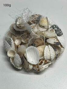 Random 100g Shell, Conch, Aquarium & Fish Tank Decoration, Photo Props, Scallop, Mesh Bag Mixed-Pack (Approximately 30pcs) Decor Valentine's Day, Valentines Wedding, Birthday, Bathroom Decor, Room Decor, Home Decor Living Room, Office Decor Items , Room Decoration Stuff,Fall Decor - Multicolor - View 5
