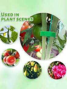 1-50 Rolls Nylon Plant Tie Tape, Reusable Hook And Loop Plant Support Strap For Climbing Flowers & Plants, Garden Horticulture Accessories - Multicolor - View 4