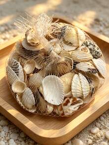 Random 100g Shell, Conch, Aquarium & Fish Tank Decoration, Photo Props, Scallop, Mesh Bag Mixed-Pack (Approximately 30pcs) Decor Valentine's Day, Valentines Wedding, Birthday, Bathroom Decor, Room Decor, Home Decor Living Room, Office Decor Items , Room Decoration Stuff,Fall Decor - Multicolor - View 6