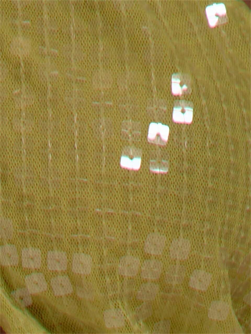 Top Verde con Lentejuelas, Cuello Halter, Espalda Abierta y Cruzado, Verano, Vacaciones, Ibiza, Festival, Zarina