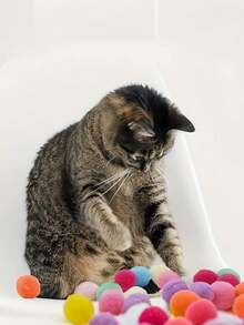 Interactive Cat Ball(Random Color) Launcher Toy Set Featuring A Silent, High-Bounce Plush Ball Launcher; Harmless, It Is Ideal For Pet Entertainment And Bonding, And Perfect For Active Play. - Multicolor - View 5