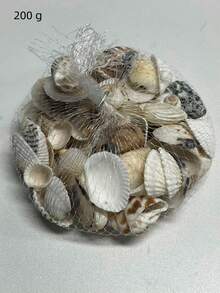 Random 100g Shell, Conch, Aquarium & Fish Tank Decoration, Photo Props, Scallop, Mesh Bag Mixed-Pack (Approximately 30pcs) Decor Valentine's Day, Valentines Wedding, Birthday, Bathroom Decor, Room Decor, Home Decor Living Room, Office Decor Items , Room Decoration Stuff,Fall Decor - Multicolor - View 11
