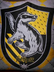 HARRY POTTER X Joivida 1件枕套（不含填充物），舒適搖粒絨面料，45*45cm - 彩色 - 查看 16