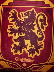 HARRY POTTER X Joivida 1件枕套（不含填充物），舒適搖粒絨面料，45*45cm - 彩色 - 查看 3