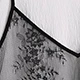 Black and White