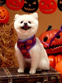 PETSIN Halloween lila husdjurshalsband och koppelset lämpligt för små hundar och katter - Blåröd - Visa 3