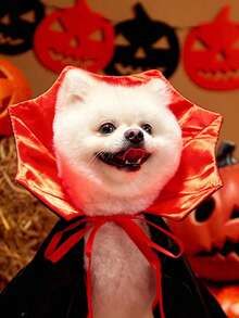 PETSIN 1 PC Halloween Red & Black Vampire Cape, Pet Costume - Red - View 7