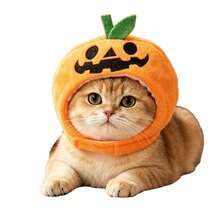 PETSIN 1 PC Halloween Pet Cosplay Funny Antlers/Demon/Skeleton/Pumpkin Cap Costumes - Multicolor - View 6