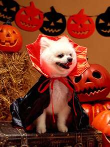 PETSIN 1 PC Halloween Red & Black Vampire Cape, Pet Costume - Red - View 4
