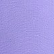 Lilac Purple