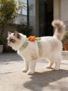 Set Harness & Tali Hewan Peliharaan Motif Garis & Bunga yang Lucu, Tersedia 5 Warna, Harness Hewan Peliharaan Portabel, Dekorasi Liburan, Tali Hewan Peliharaan untuk Pemotretan Foto untuk Kucing & Anjing Kecil - MultiWarna - View 2