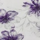 Violet Purple