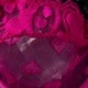 Rosa Fucsia