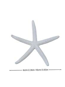 4/6/8/10pcs Natural Conch Shell Five Finger Tyrant Mantis Starfish Specimen Mediterranean Platform Decoration Ocean Decoration Wall Decoration Series Home Decoration - multicolor - View 3