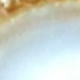 多色
