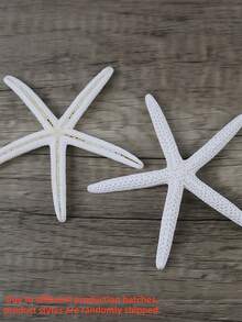 4/6/8/10pcs Natural Conch Shell Five Finger Tyrant Mantis Starfish Specimen Mediterranean Platform Decoration Ocean Decoration Wall Decoration Series Home Decoration - multicolor - View 7