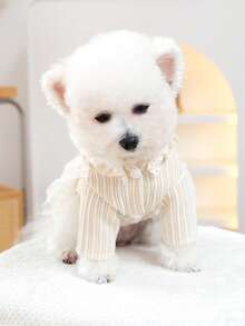 PETSIN 1件貓狗通用寵物服飾，刺繡蝴蝶結裝飾寵物裙 - 米色 - 查看 7