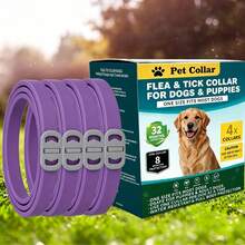 4 Pcs Tick Collars For Cats And Tick Collars For Dogs. These Waterproof And Adjustable Collars Fit Both Adult And Young Cats And Dogs, Are Available In Multiple Colors, Odorless And Non-Greasy, And Can Kill Fleas, Ticks And Their Larvae - Purple - View 5