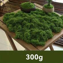 40/100/150/200/300/350 جرام عشب طحلب محاكي، طحلب صناعي مزيف لتصميم المناظر الطبيعية الصغيرة، عشب نباتي أخضر، ديكور نافذة النباتات المزروعة في أصص، تصميم المناظر الطبيعية - متعدد الألوان - مشاهدة 9