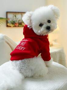 PETSIN 1pc Pet Hoodie, Cat And Dog Universal Clothing, Embroidered Letter Red Casual Hoodie, Suitable For Small Dogs To Wear At Home And For Daily Outings - Red - View 3