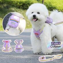 3pcs Dog Walking Set: Harness, Carrier Bag & Leash, Breathable Mesh Vest Harness With Buckle, Suitable For Small Dogs & Cats - Multicolor - View 1
