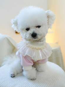 PETSIN 1pc Cat And Dog Universal Clothing, Embroidered Cupcake Lace Ruffle Collar Pet Hoodie, Suitable For Daily Walks, Home Wear, Sweet Cake Style Pet Photos - Pink - View 13