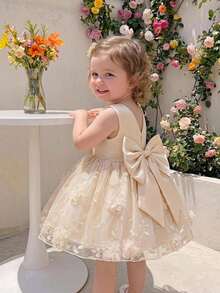 Glamorique Kids Baby Girl Champagne Satin Embroidered 3D Floral Sleeveless Dress, Birthday Flower Girl Party, Wedding, Tulle, Princess, Summer, Warm, Outfit Elegant - Apricot - View 10