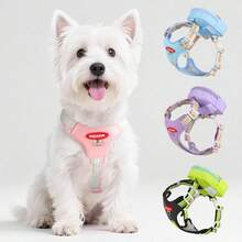 3pcs Dog Walking Set: Harness, Carrier Bag & Leash, Breathable Mesh Vest Harness With Buckle, Suitable For Small Dogs & Cats - Multicolor - View 7