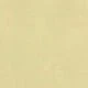 Mustard Yellow