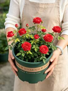 8 Buah Pot Bunga Desain Tong Vintage – Pot Plastik Tebal Besar untuk Tanaman Dalam dan Luar Ruangan, Dekorasi Taman Cokelat Rustic, Wadah Rumah & Teras Tahan Lama dan Kuat - Beraneka warna - View 2