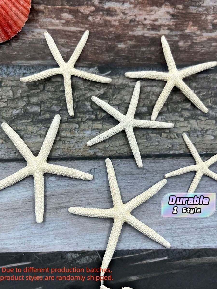 4/6/8/10pcs Natural Conch Shell Five Finger Tyrant Mantis Starfish Specimen Mediterranean Platform Decoration Ocean Decoration Wall Decoration Series Home Decoration - multicolor - View 1