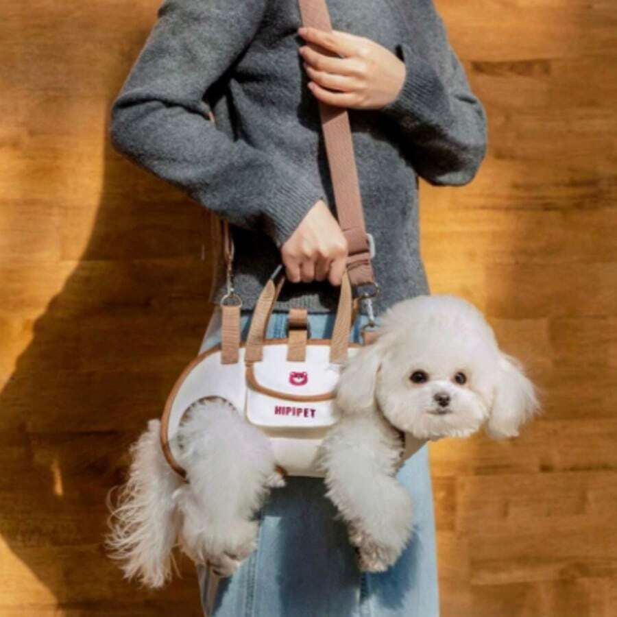 PETSIN Cute Dog Backpack - Portable Breathable Traction Backpack With Adjustable Shoulder Straps, Suitable For Cats And Dogs, Can Be Crossed Or Shouldered, Pet Supplies | Fashionable Dog Equipment - Multicolor - View 1