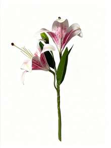 1/2支百合花仿真花装饰卧室客厅梳妆台仿真花室内装饰假花萱草花粉色/蓝色/白色 - 彩色 - 查看 7
