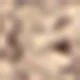 Estampado de leopardo
