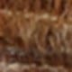Rust Brown