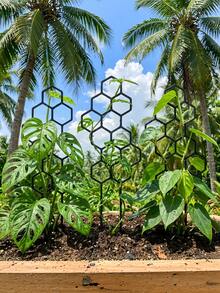 Honeycomb Plant Climbing Trainer 14.96x5.91 Inches Vine Flower Support Frame Space Saving Indoor Outdoor Gardening Trellis For Potted Plants - multicolor - View 3