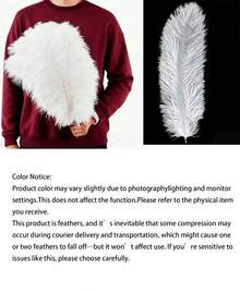 5pcs 20-40cm Artificial Ostrich Feathers, Black And White, DIY Craft Decorative Feathers, Suitable For Christmas, Weddings And Gift Packaging - multicolor - View 4