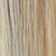 S18/613