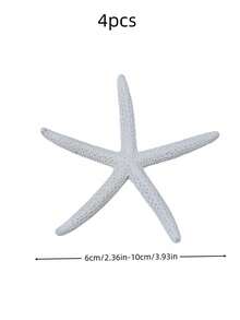 4/6/8/10pcs Natural Conch Shell Five Finger Tyrant Mantis Starfish Specimen Mediterranean Platform Decoration Ocean Decoration Wall Decoration Series Home Decoration - multicolor - View 10