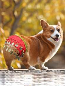 PETSIN 1PC Shiny Sequin Pet Waist Chain Decor, Cute Hip Dance Ornament For Corgi Dogs - Multicolor - View 4
