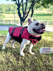 1pc Dog Life Jacket, Adjustable Chest & Neck, Tear-Resistant Pet Life Vest, Suitable For Medium & Small Dogs, Boating, Swimming, High Buoyancy, Includes Easy-Carry Handle And D-Ring - Multicolor - View 2